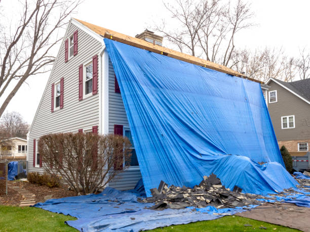 Best Insulated Siding Installation  in Dresden, TN